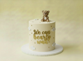 We can bearly wait Cake