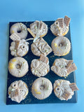 Premium Design Cupcakes